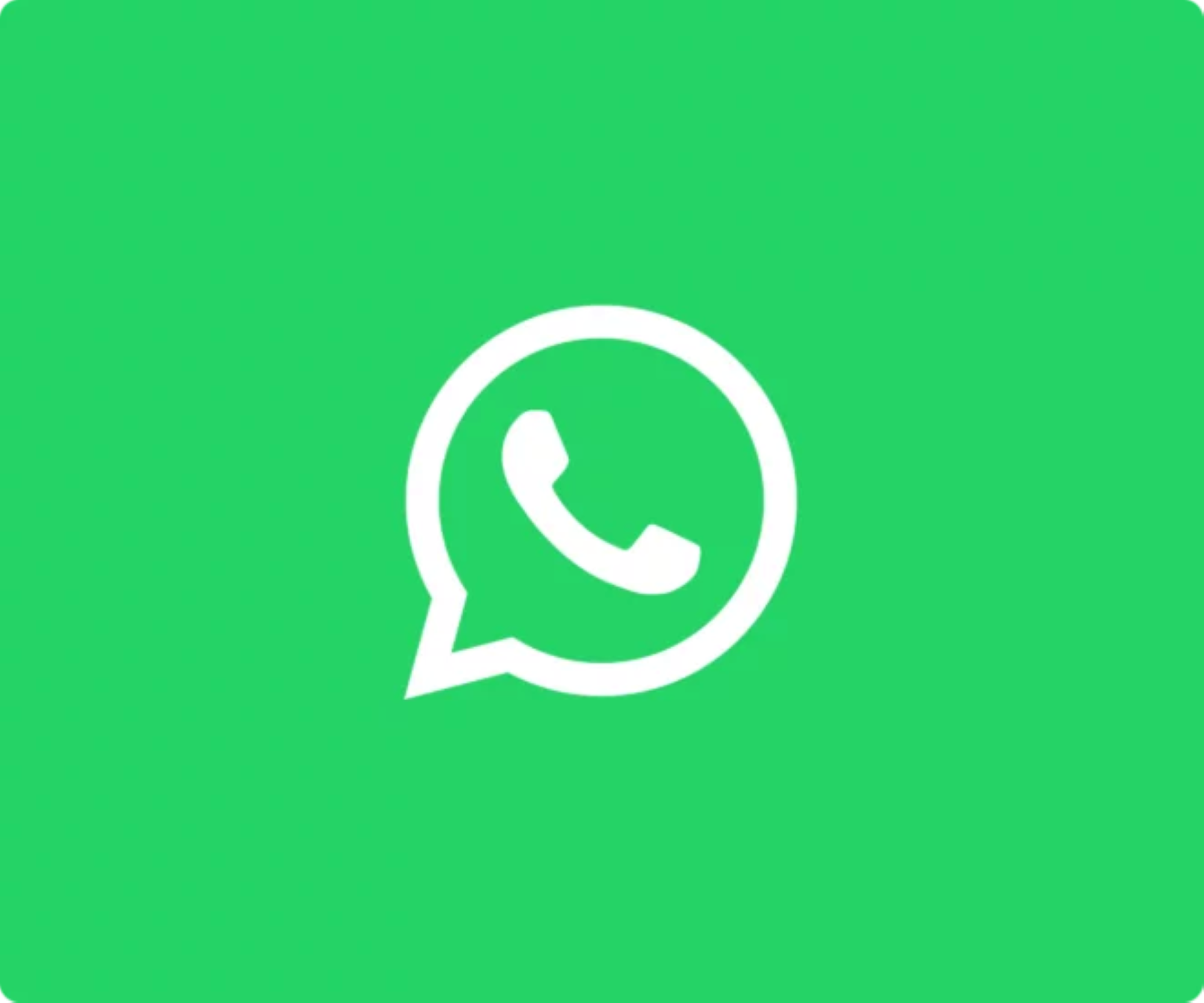 WhatsApp Buisness: der schnelle Kontakt zu uns